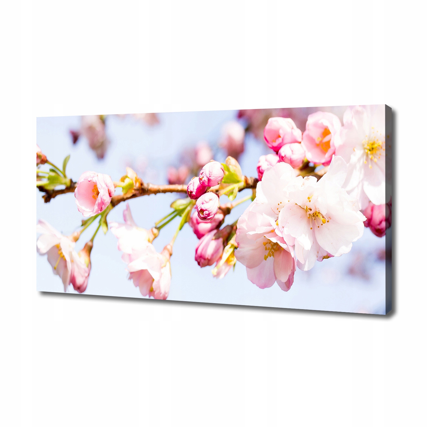 

Foto obraz duży na płótnie Kwiaty wiśni 140x70 cm