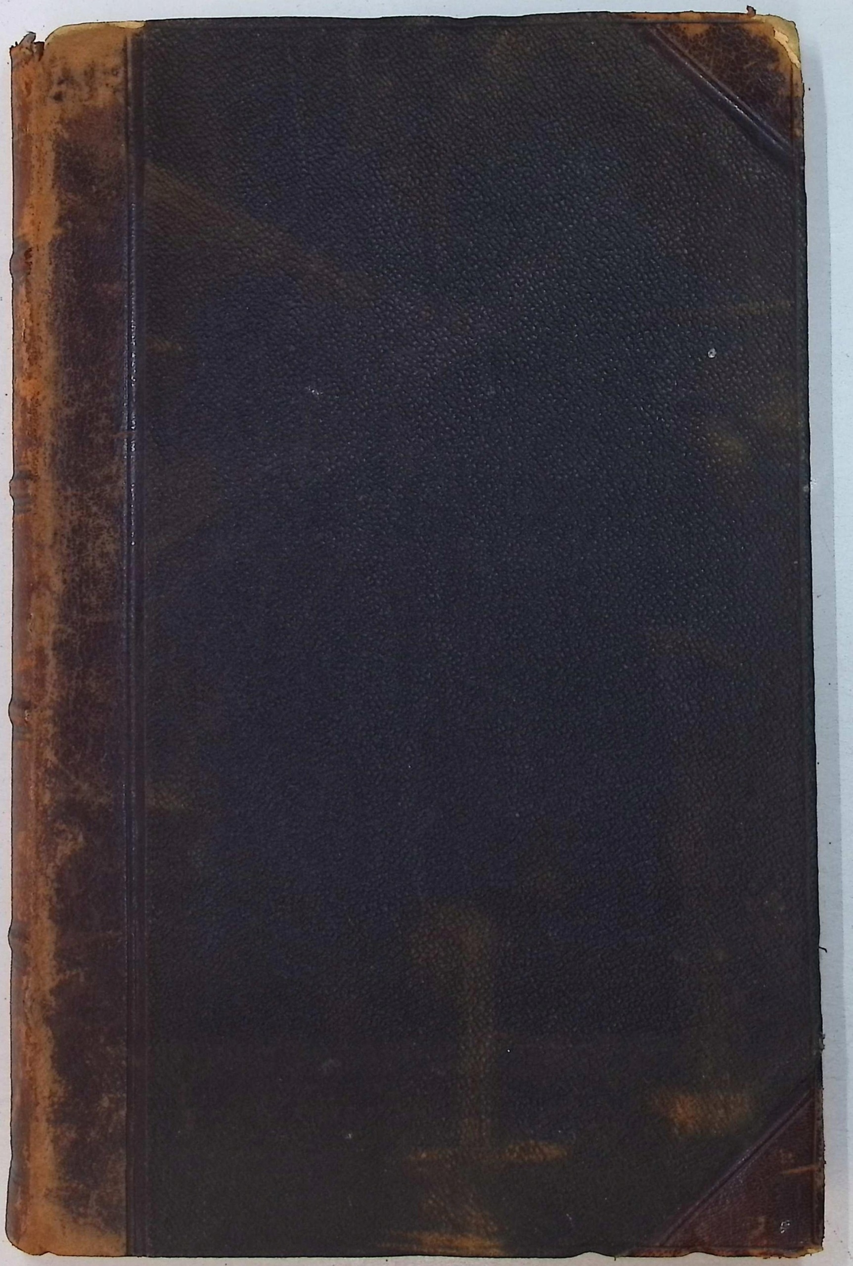 Encyklopedja Kościelna. Tom XIX (1893 r.) - X. Michał Nowodworski