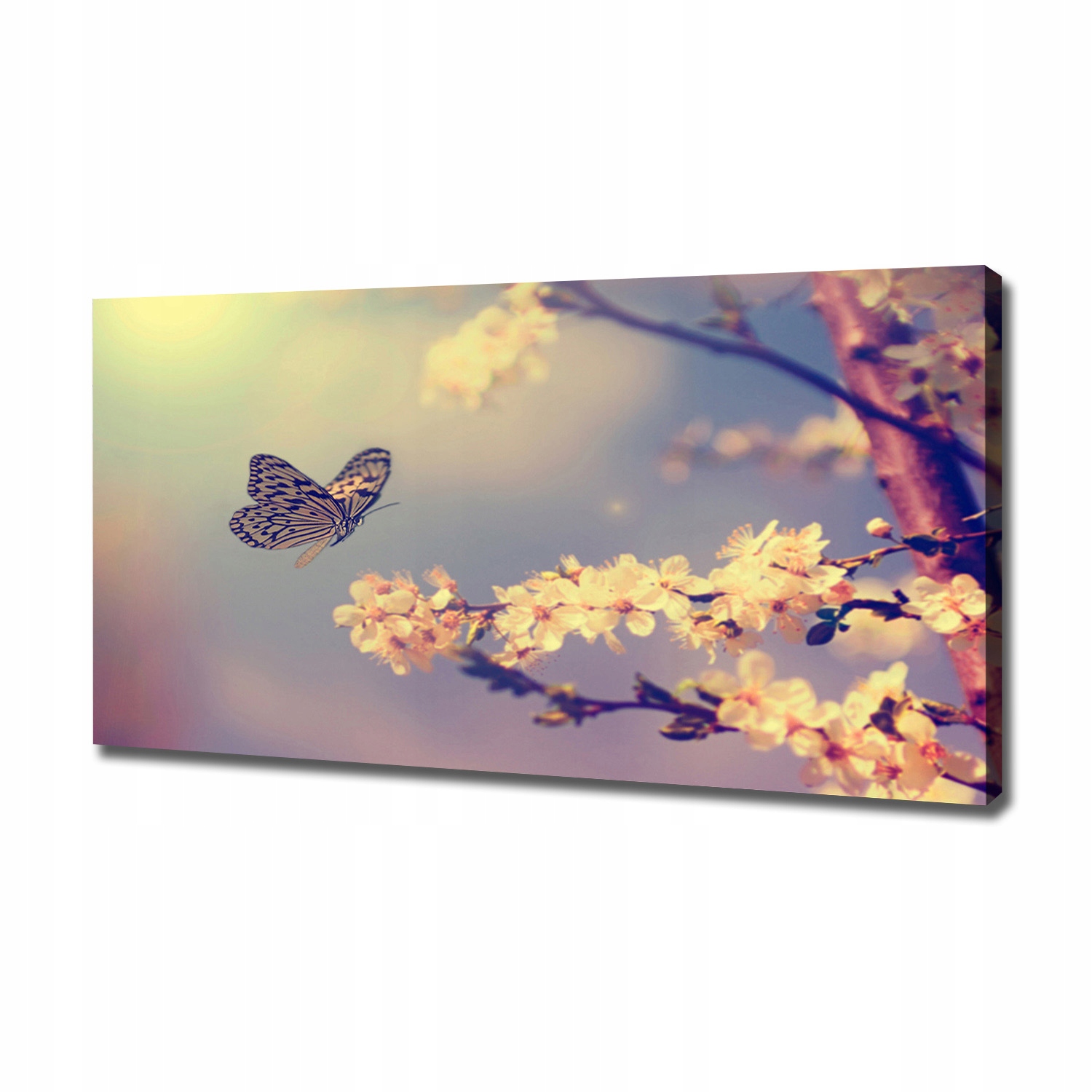

Foto obraz na płótnie Kwiat wiśni i motyl 120x60cm