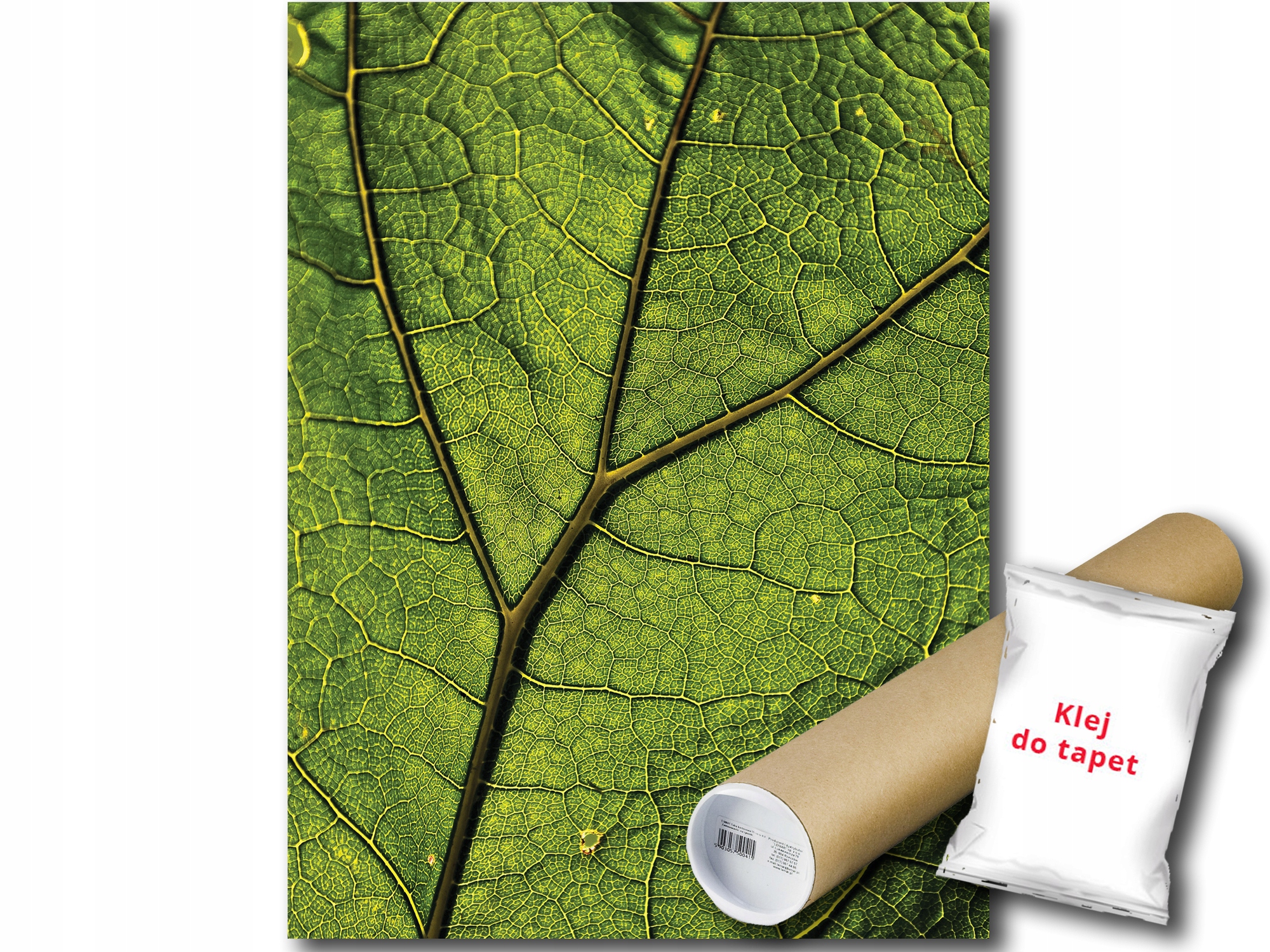 Vinylová Fototapeta List Makro Natura 184x254
