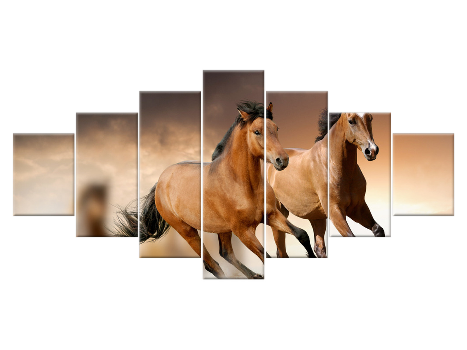 

Obraz Stado koni 210x100 Pejzaż 1251A_7A do salonu