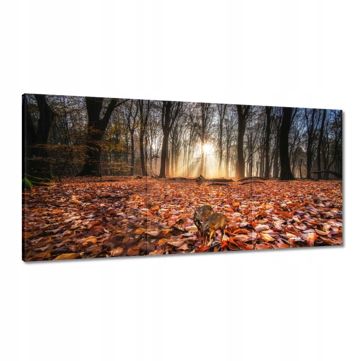 Obrazy 120x60 Ohrožený vyhynutím