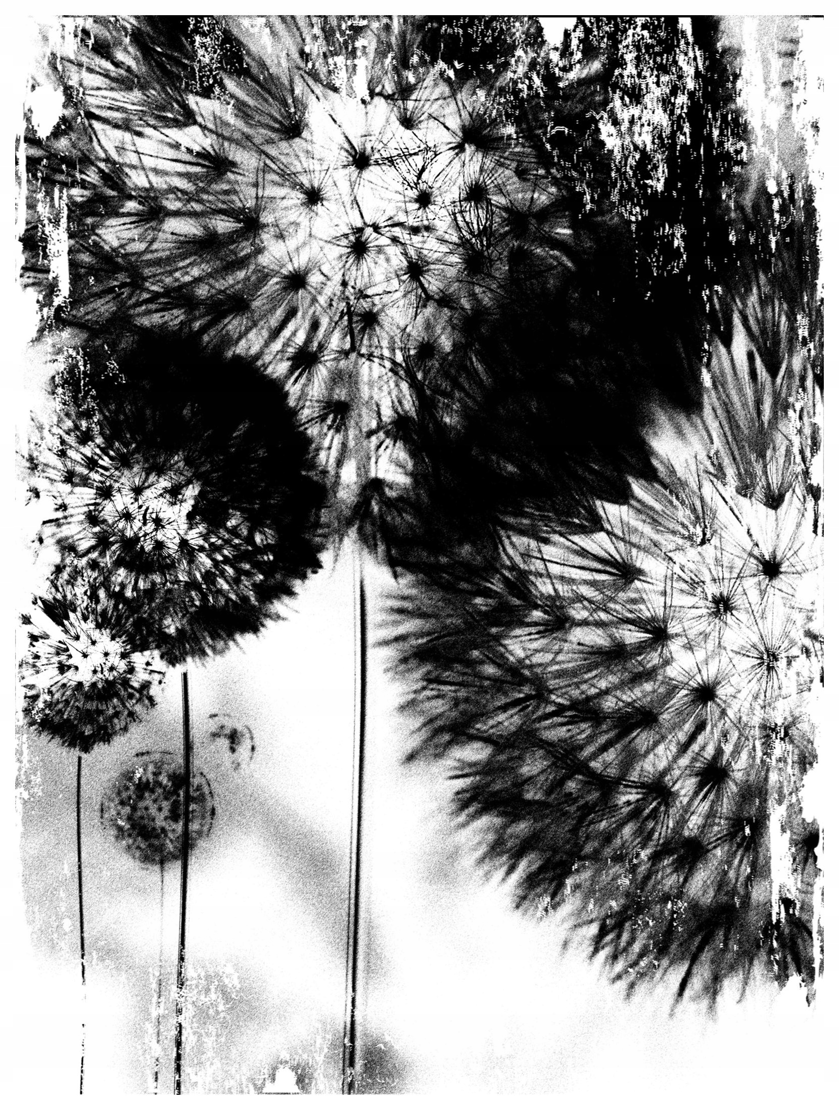 Fototapeta foukači lehkost a klid 184x254 vinylová lepidlo