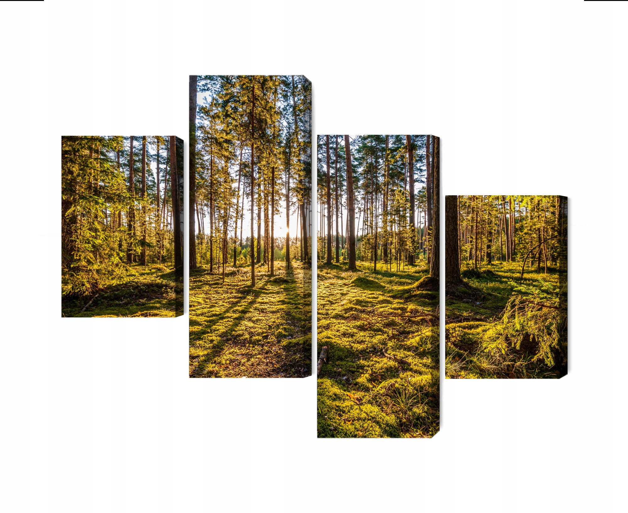 Vícedílný obraz Sluneční lesní krajina 3D Canvas 160x100