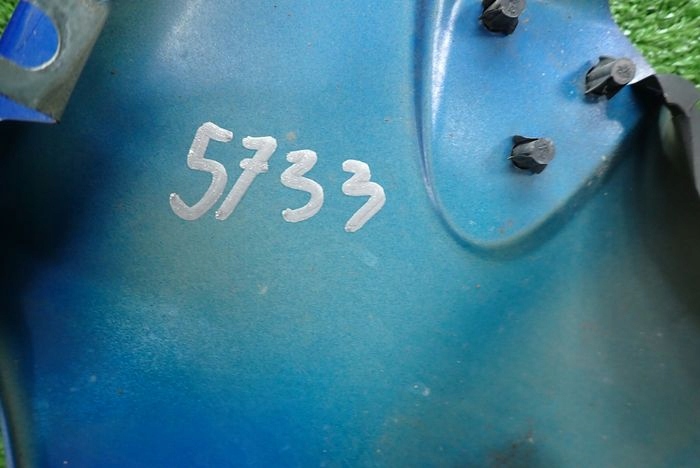 RENAULT MEGANE III fender right front front