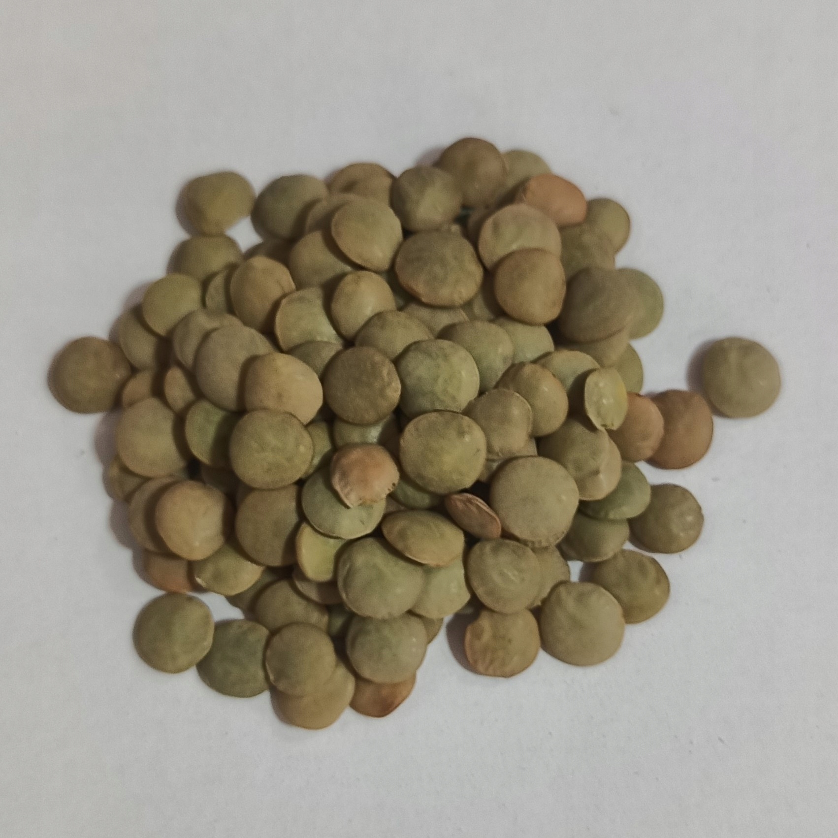 Levně Zelená Čočka 1 kg Rafex