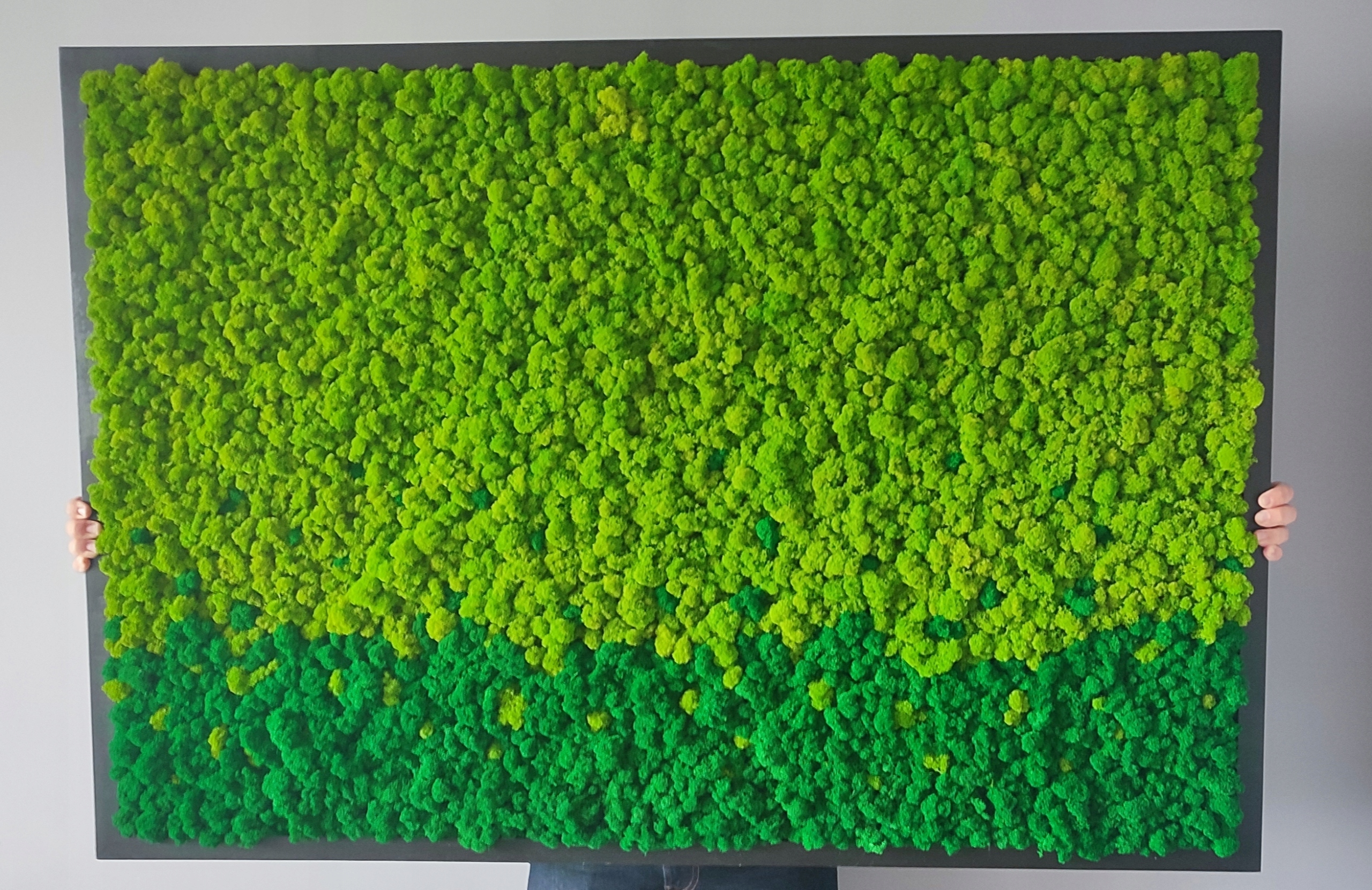 Obraz z chrobotka fińskiego PREMIUM, 130x90 cm Marka inna