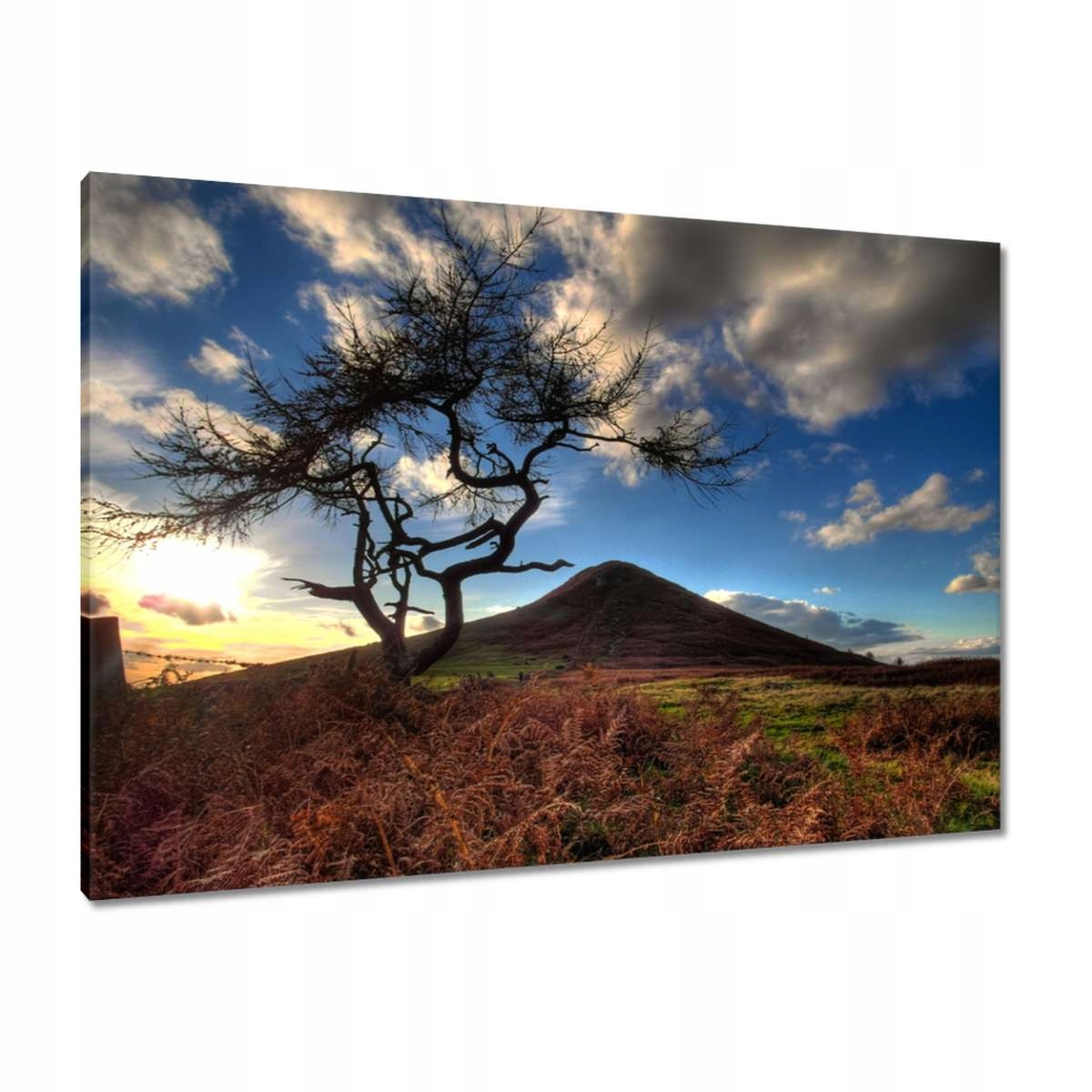 Obrazy 100x70 Stromek