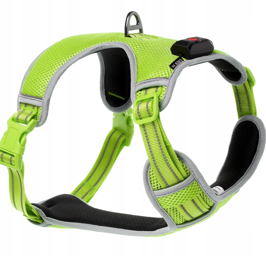 Levně Led svítící postroje pro psa svítí ve tmě M