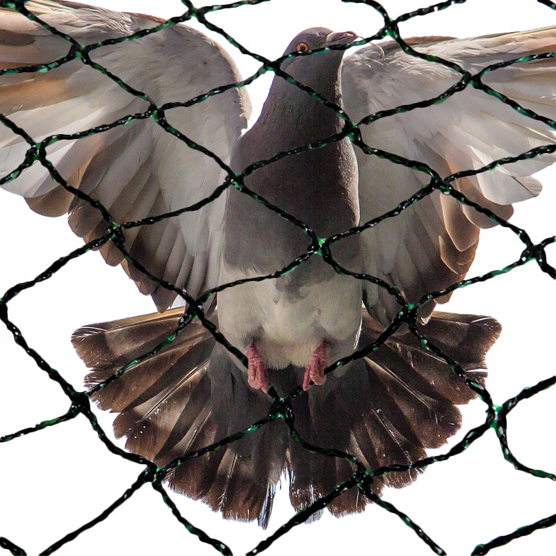Wytrzymała siatka przeciw ptakom na balkon i drzewka 30g/m2 8x8 m