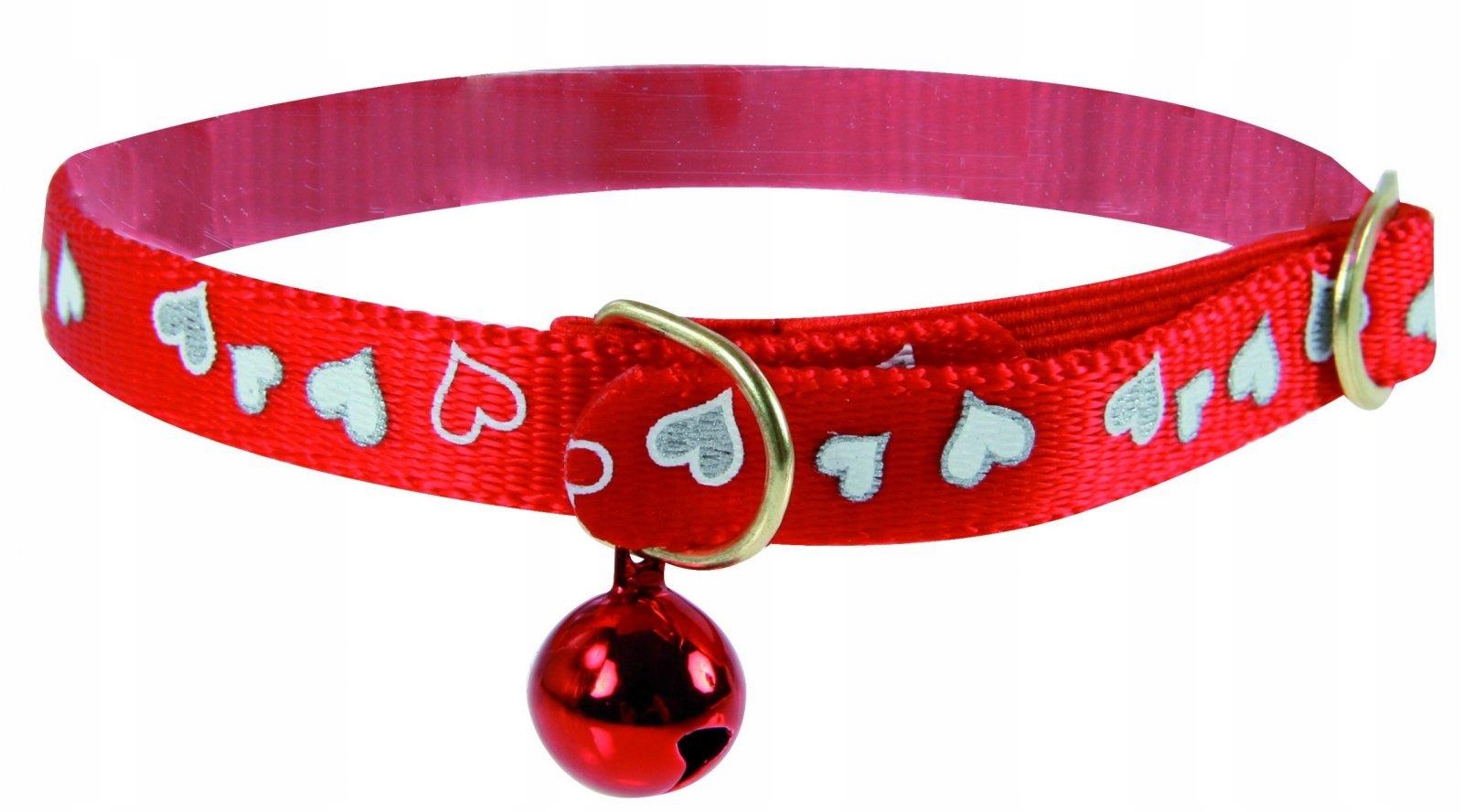 Что значит слово коли. См коль. См коль. Первйй раз во 2 класс. Окж2класс10.