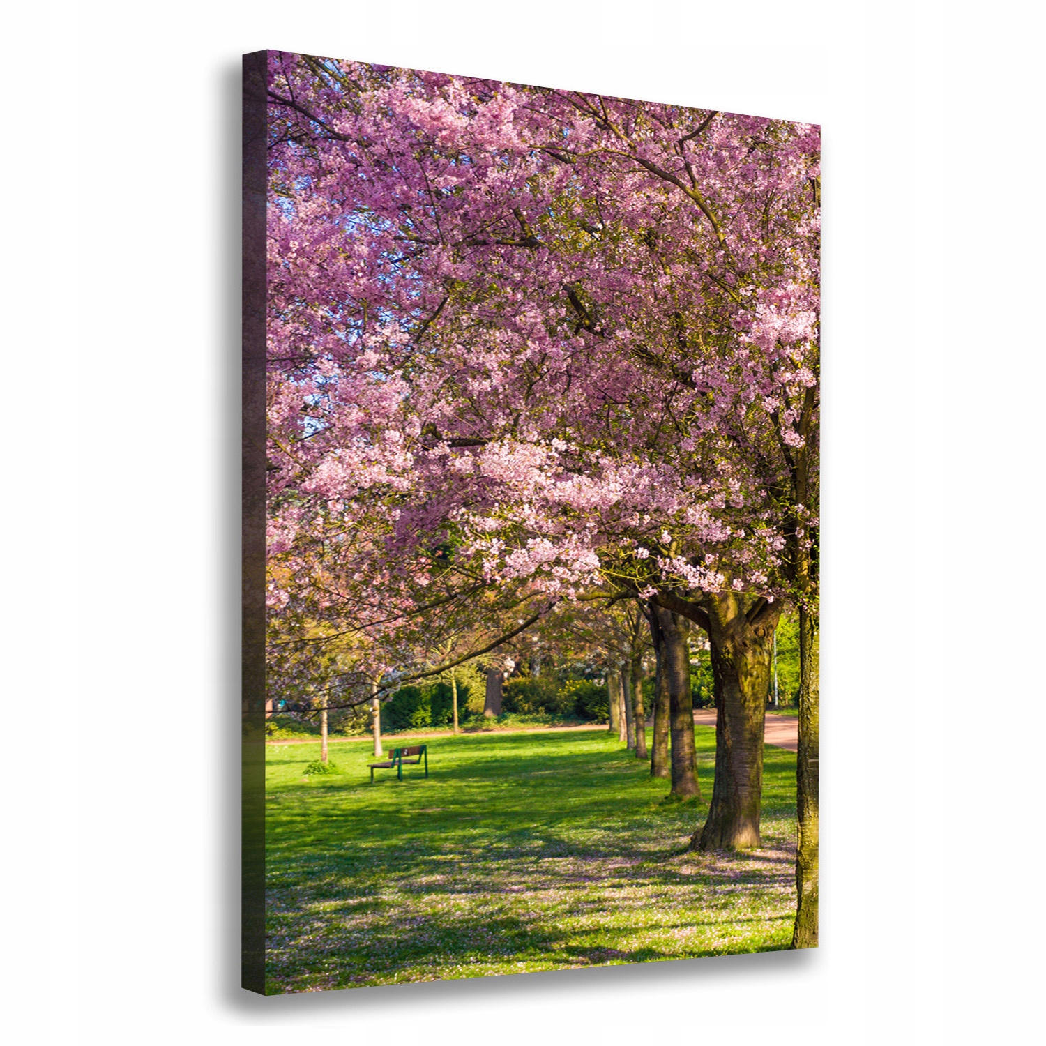 

Foto obraz canvas do salonu Drzewa wiśni 70x100