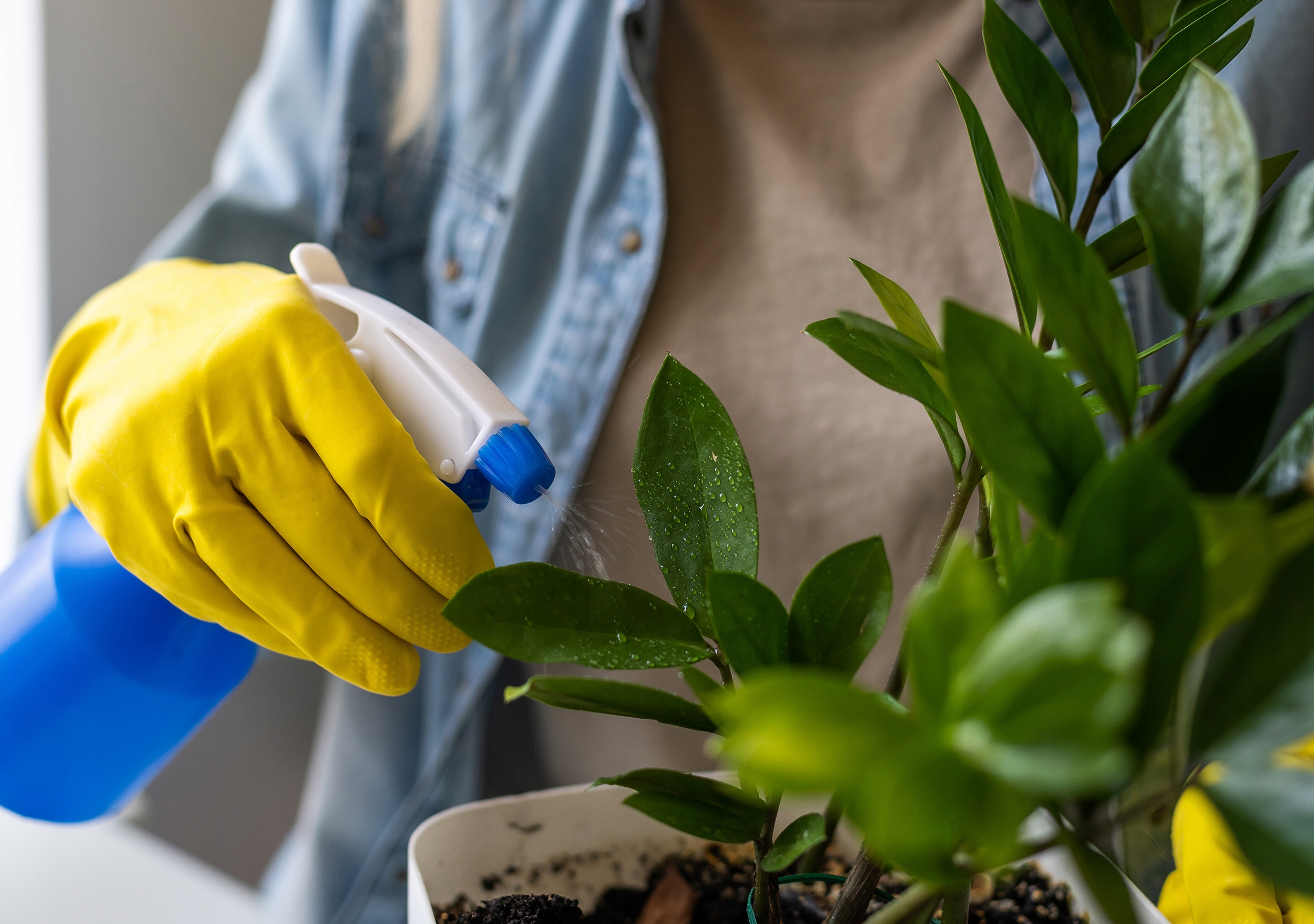 NATURALNY PREPARAT Z POKRZYWY NO PEST ŚRODEK PŁYN NA MSZYCE I OWADY ROŚLIN Rodzaj płyn