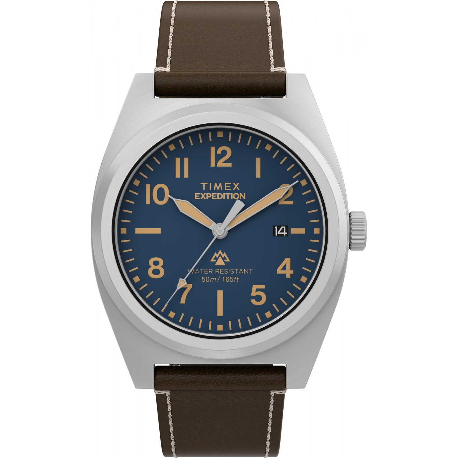 Pánské Hodinky Timex TW2Y30600 hnědé