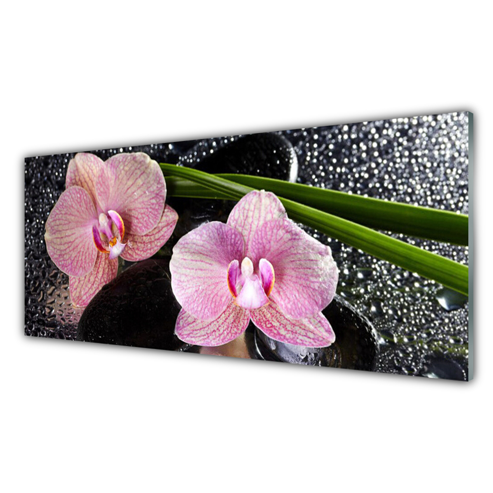 

Obraz akrylowy 125x50 Kwiaty Orchidea Storczyk Zen
