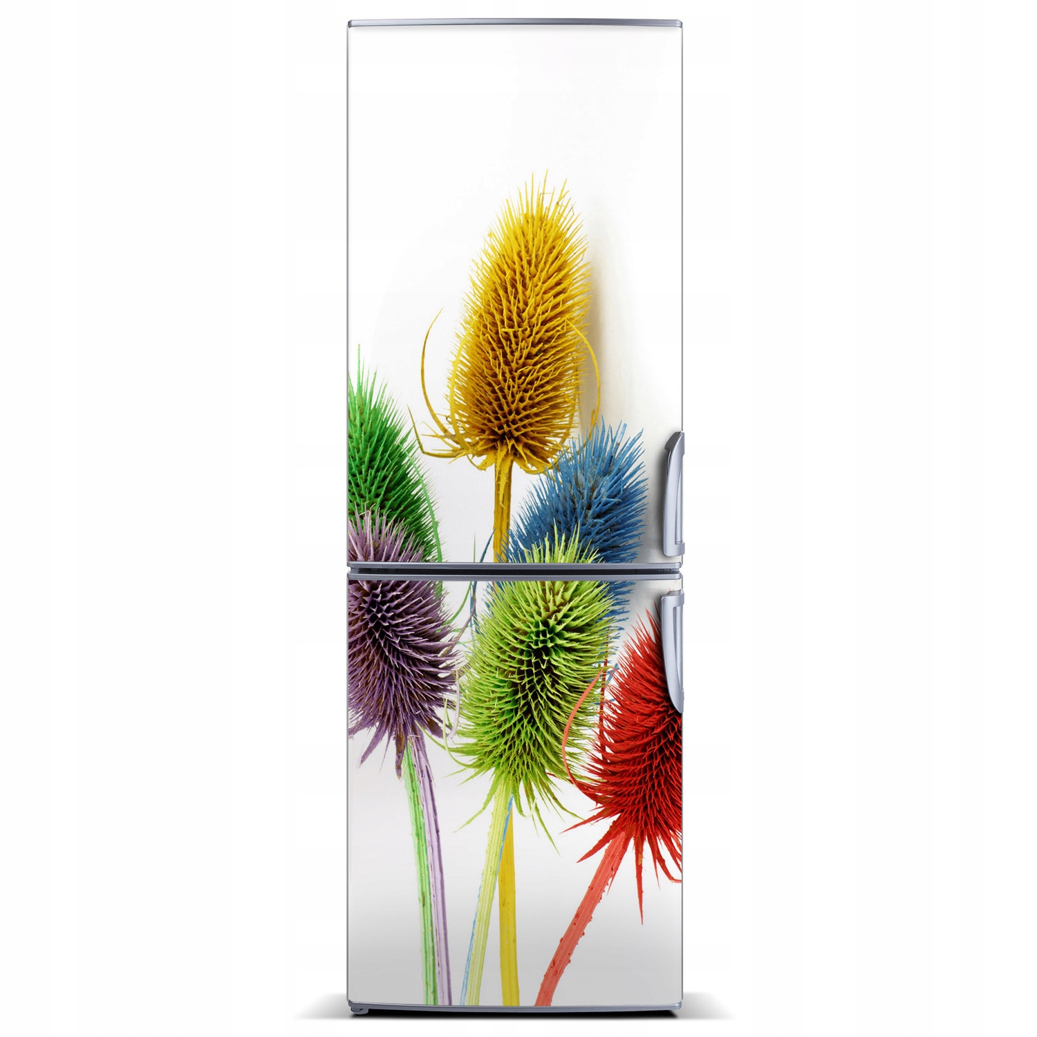 

Magnes naklejka fototapeta na lodówkę Oset 60x180