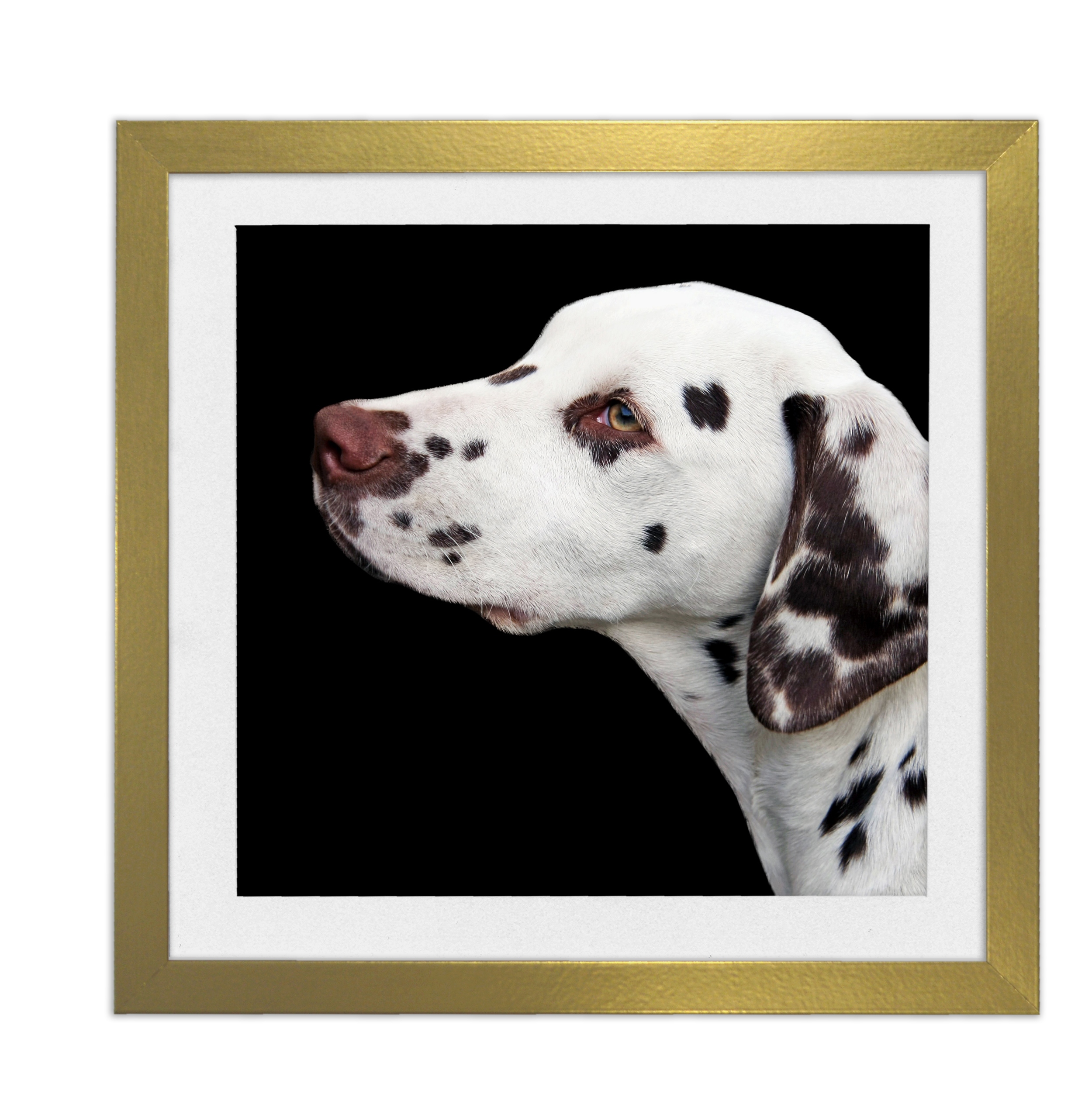 

Ramka kwadratowa 20x20 passe-partout 15x15 złota