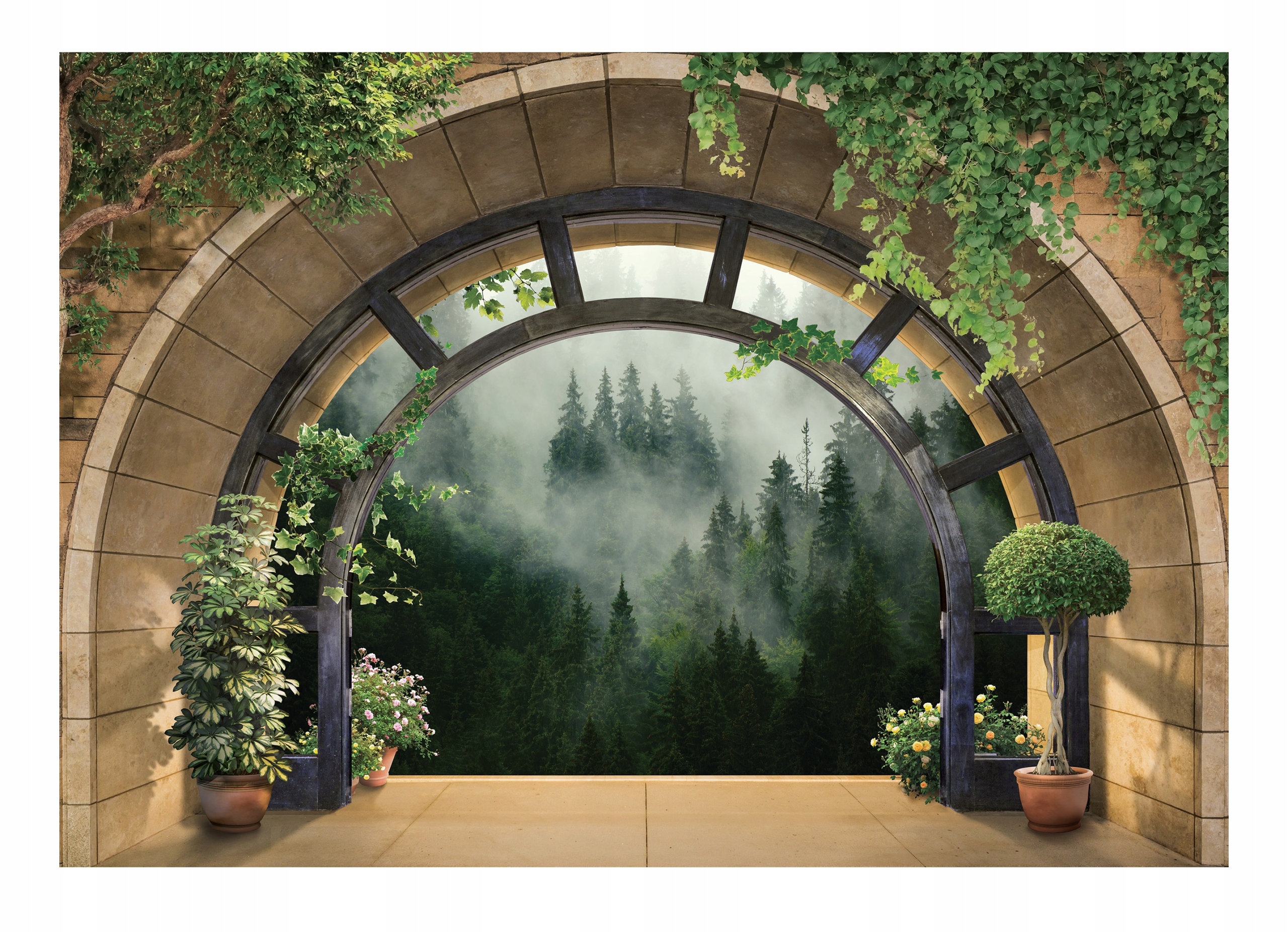 3D fototapeta Les V Hmle na stenu Stromy 520x318