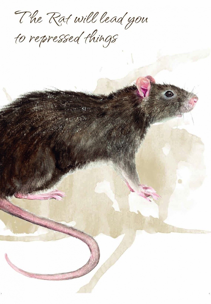 CARTAMUNDI Karty Tarot Power Animal Cards Typ Podstawa