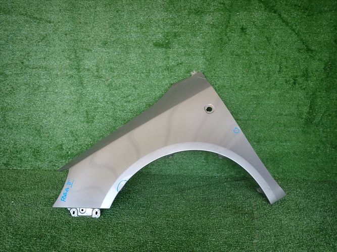 SKODA FABIA II 07- fender left front front