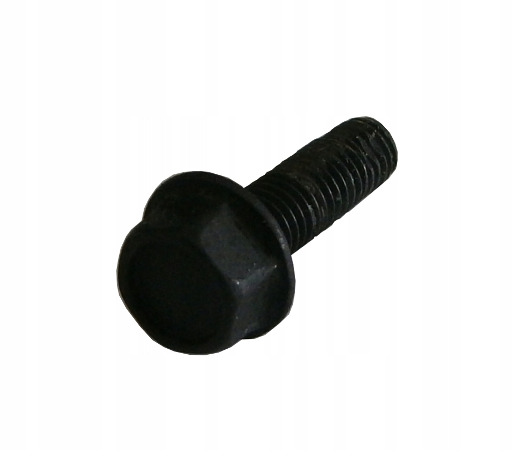 

Śruba Briggs Stratton 590562