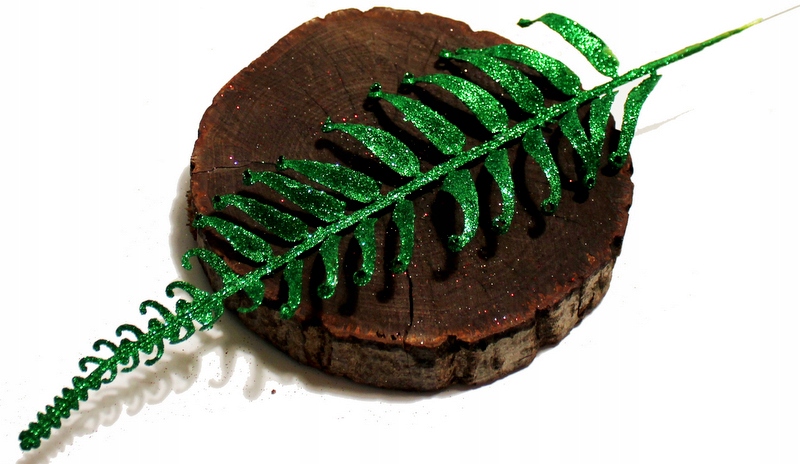 

Paproć Gałązka Brokatowa Zielona 37 cm