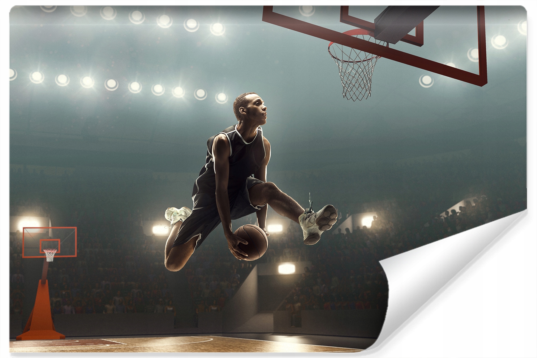 

Fototapeta Młodzieżowa Sport Koszykówka 3D 360x240