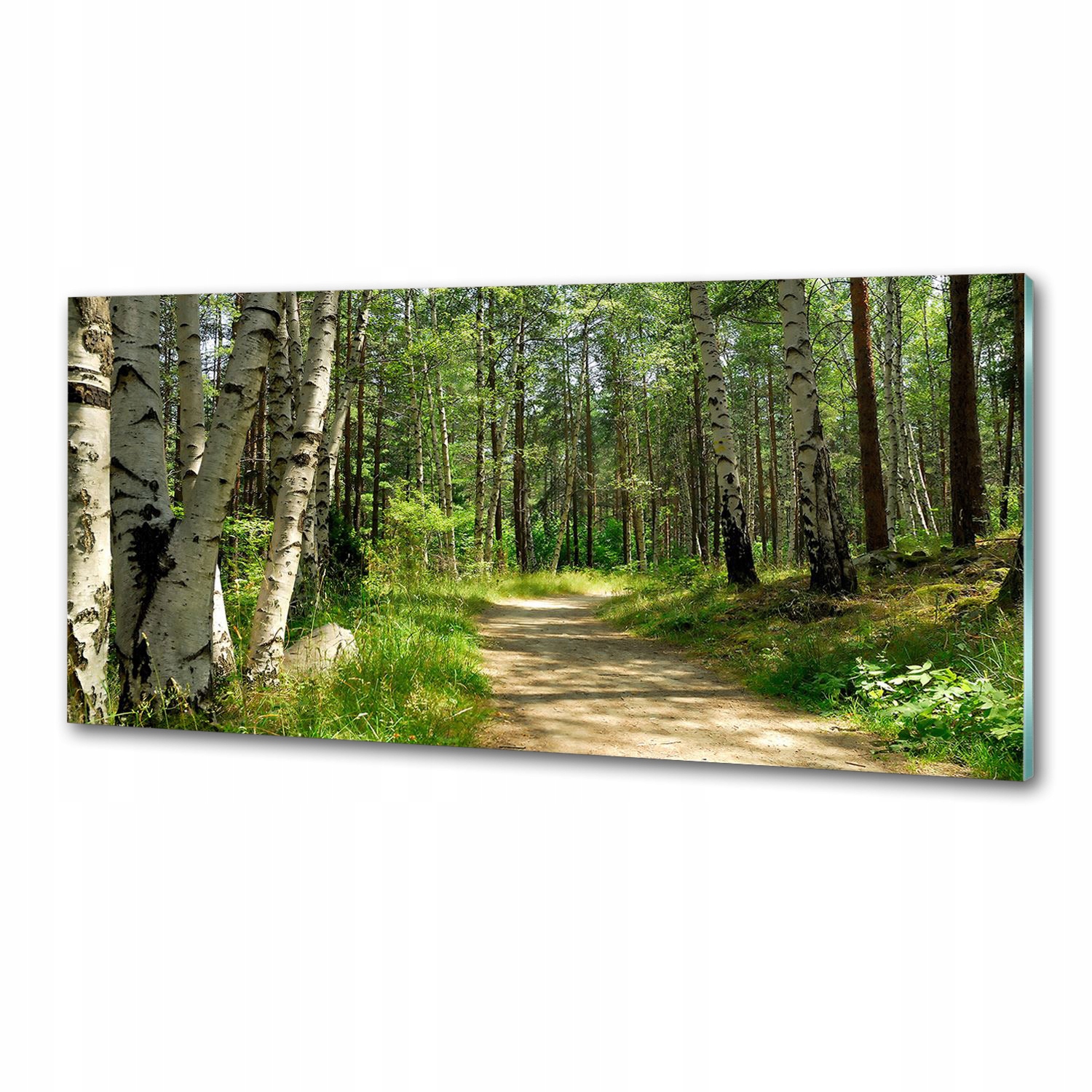 Panel do kuchyne Cesta v lese 125x50 cm Lepidlo