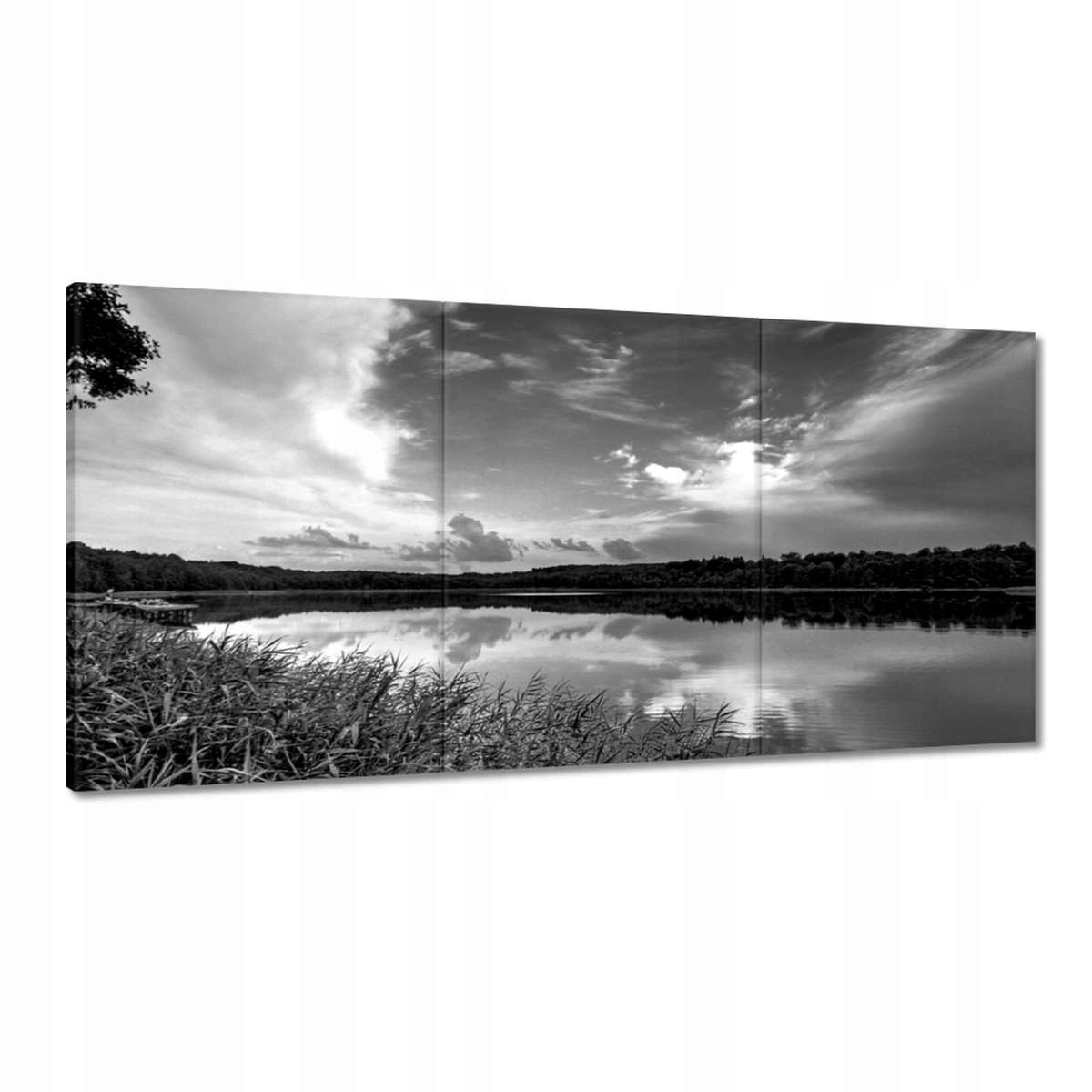 Obrazy 120x60 Černobílá fotografie