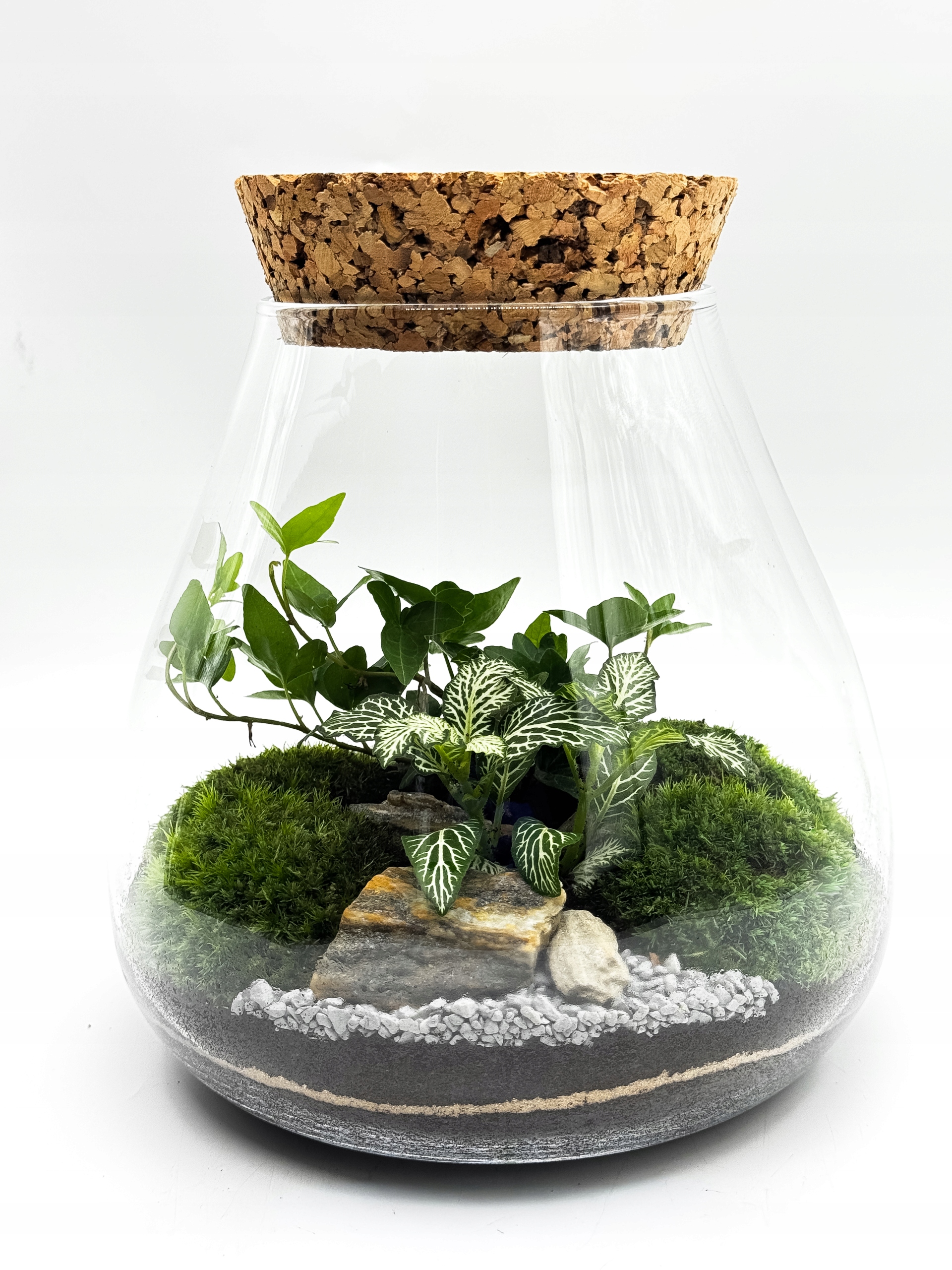 Les ve skle s fytonií a břečťanem – hotová kompozice