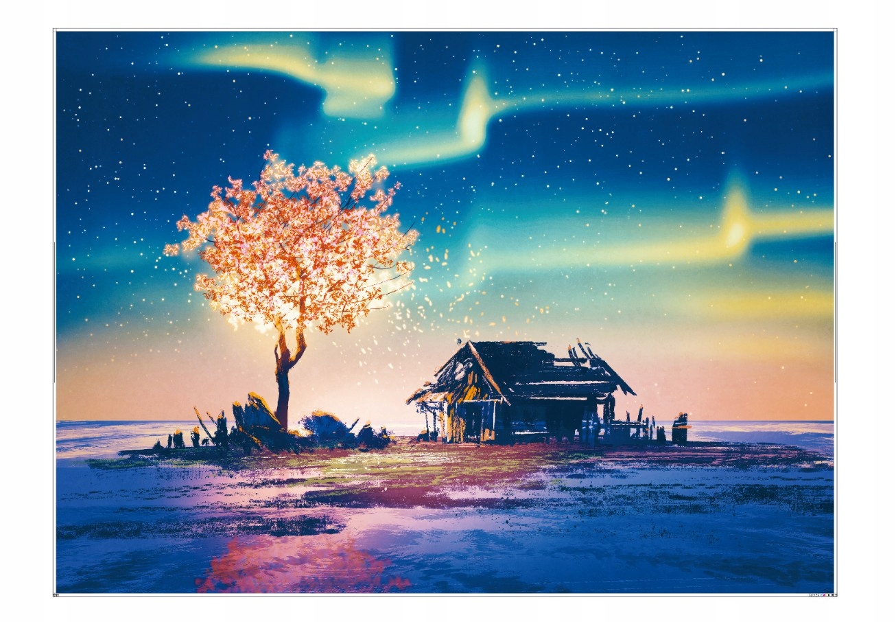 PUZZLE 1000el. Zorza Polarna