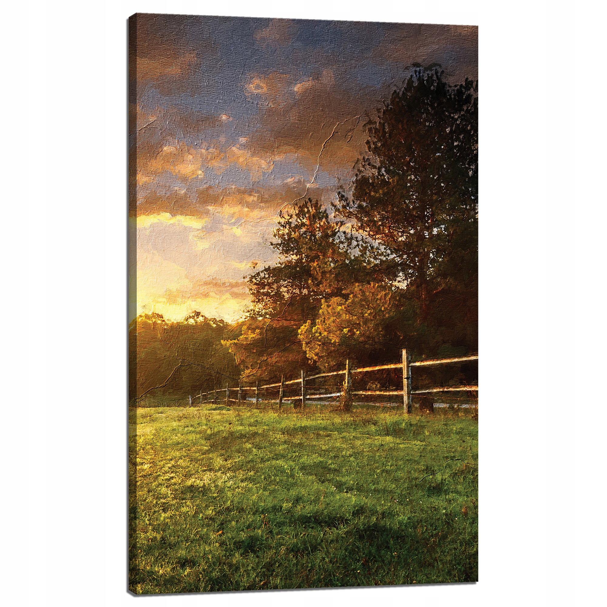 Obraz na plátně Slunce Krajina Venkovské stromy Louka 60x100 cm
