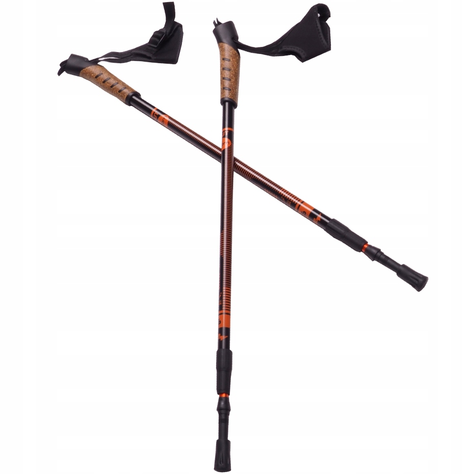 Bjorn nordic walking trekingové palice 2 palice