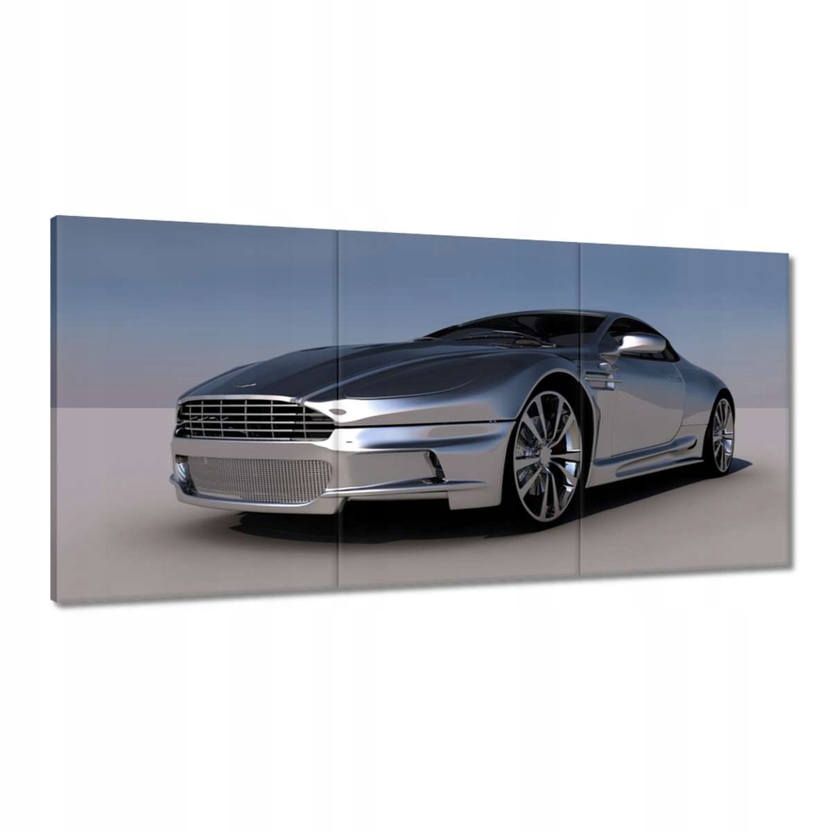 Obrazy 180x90 Strieborné Aston Martin