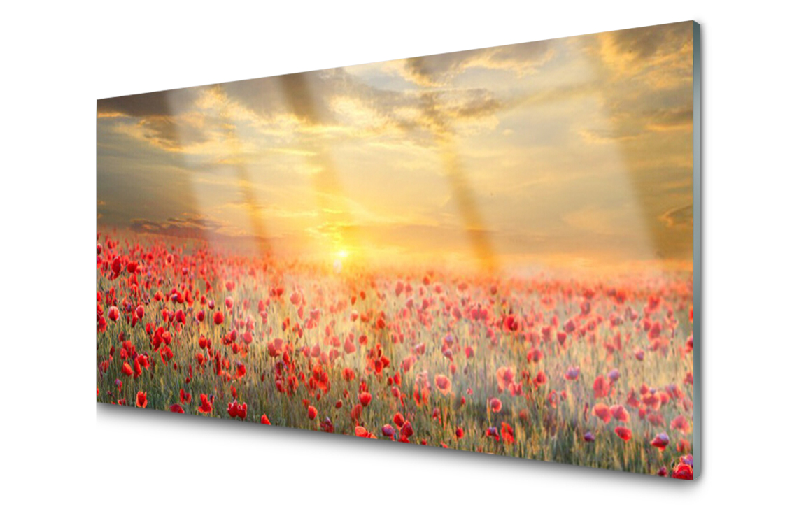 

Panel szklany Płytka Łąka Mak Kwiaty 120x60