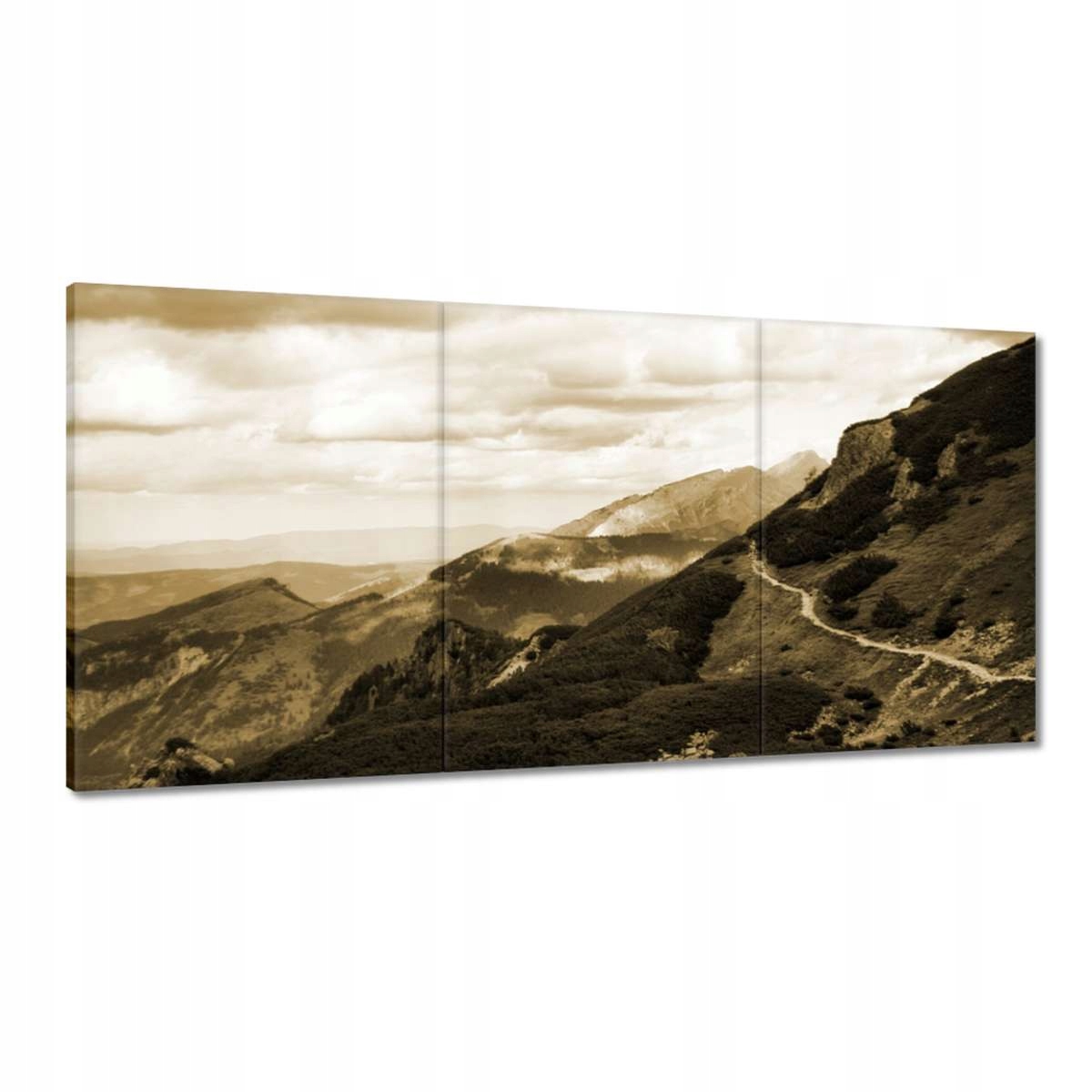 Obrazy 180x90 Tatry Poľské hory Pohľad