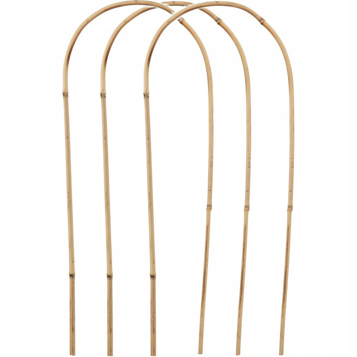 PODPORA BAMBUSOWA PAŁĄK do ROŚLIN KWIATÓW 78cm Zestaw 3 szt PROGARDEN