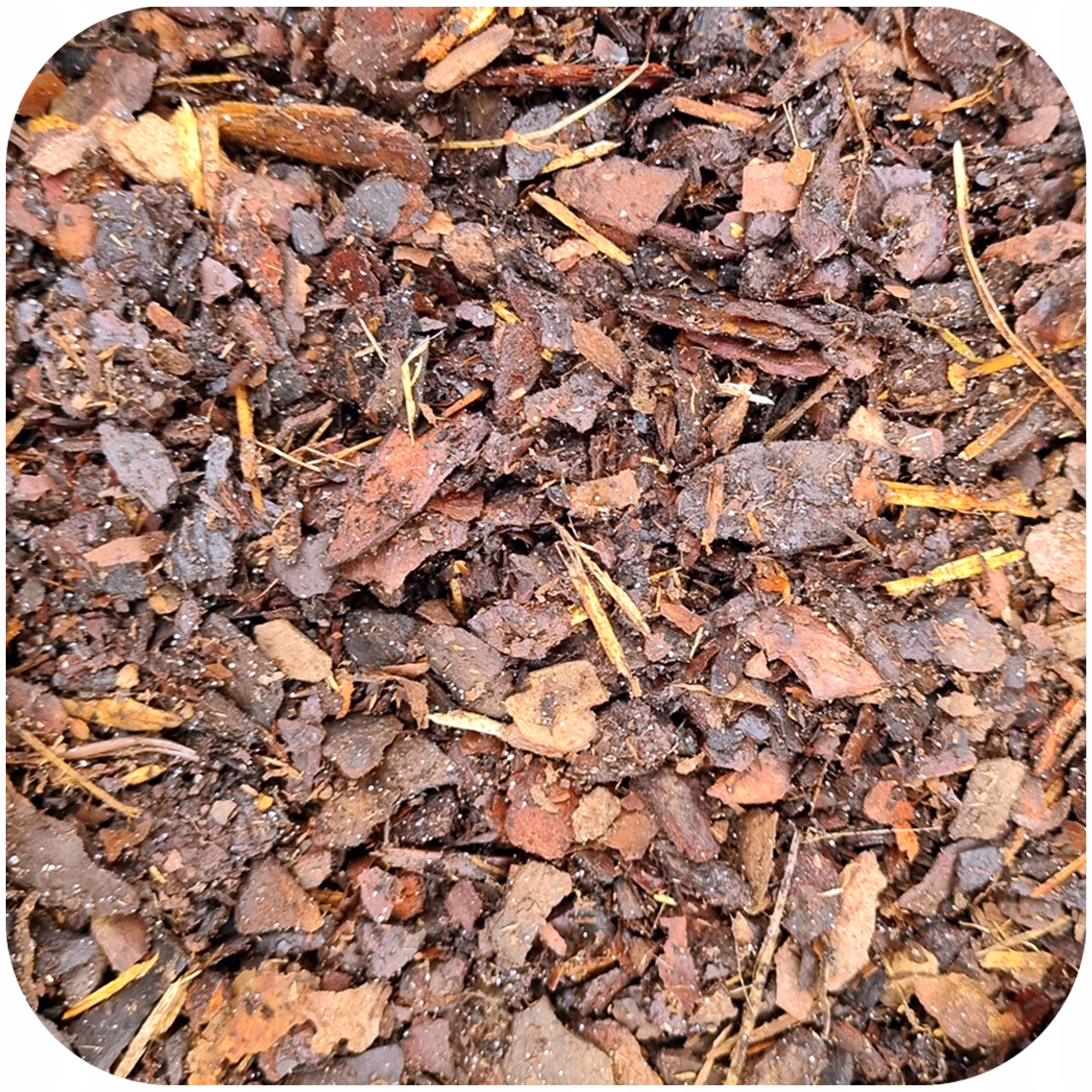 KORA SOSNOWA MIELONA kompostowana DROBNA 20L Kod producenta kora sosnowa drobna 20l