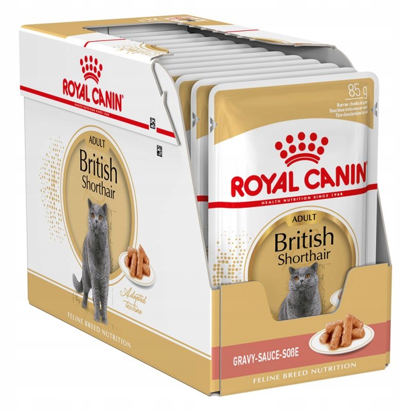 Royal Canin British Shorthair 12x85 g Krmivo v omáčce pro britské kočky