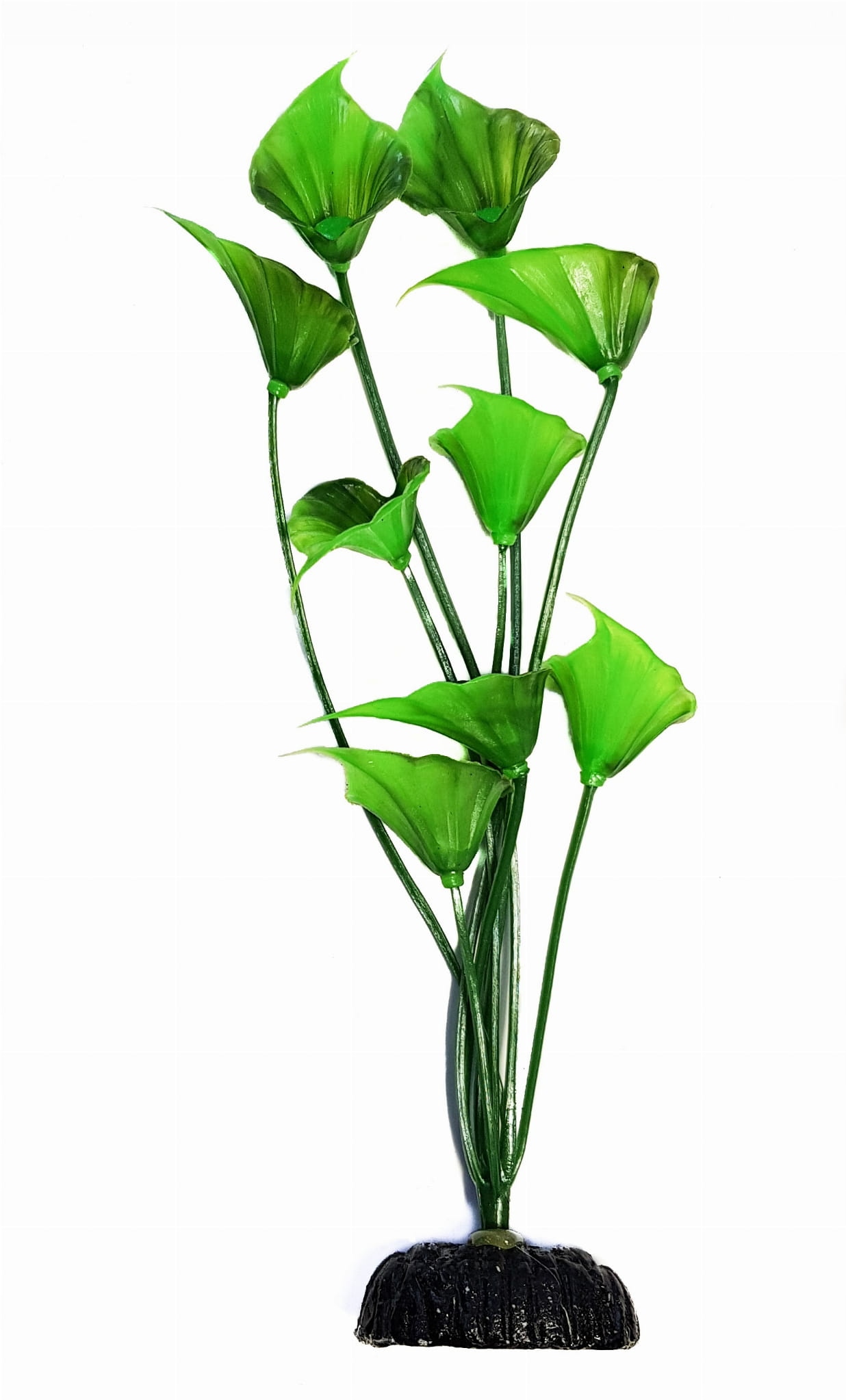 

Roślina akwariowa Kalia 10 cm