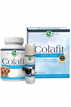 Colafit Max Forte dárkový balíček malý