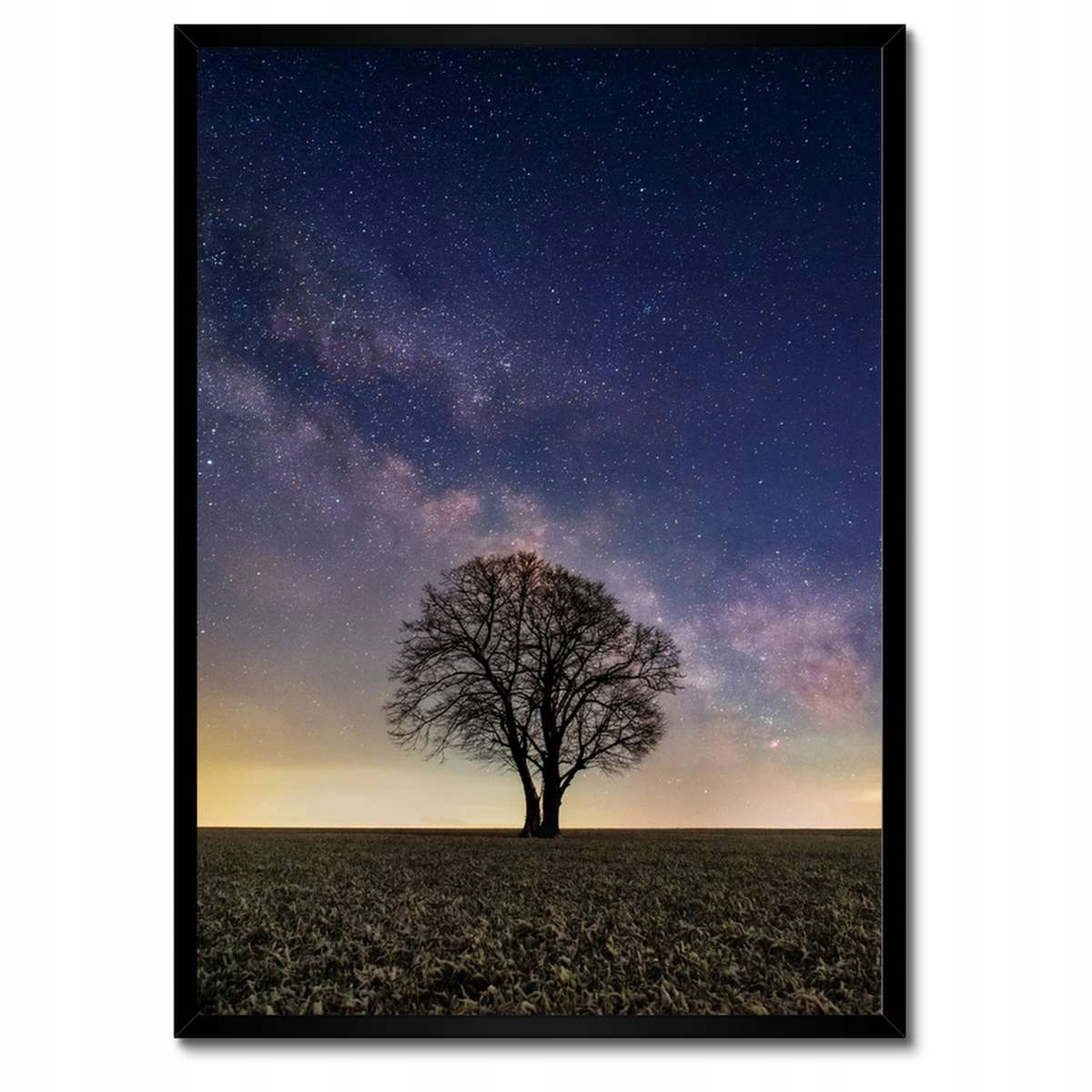 Plakáty v rámu 50x70 Osamělý strom a hvězdy
