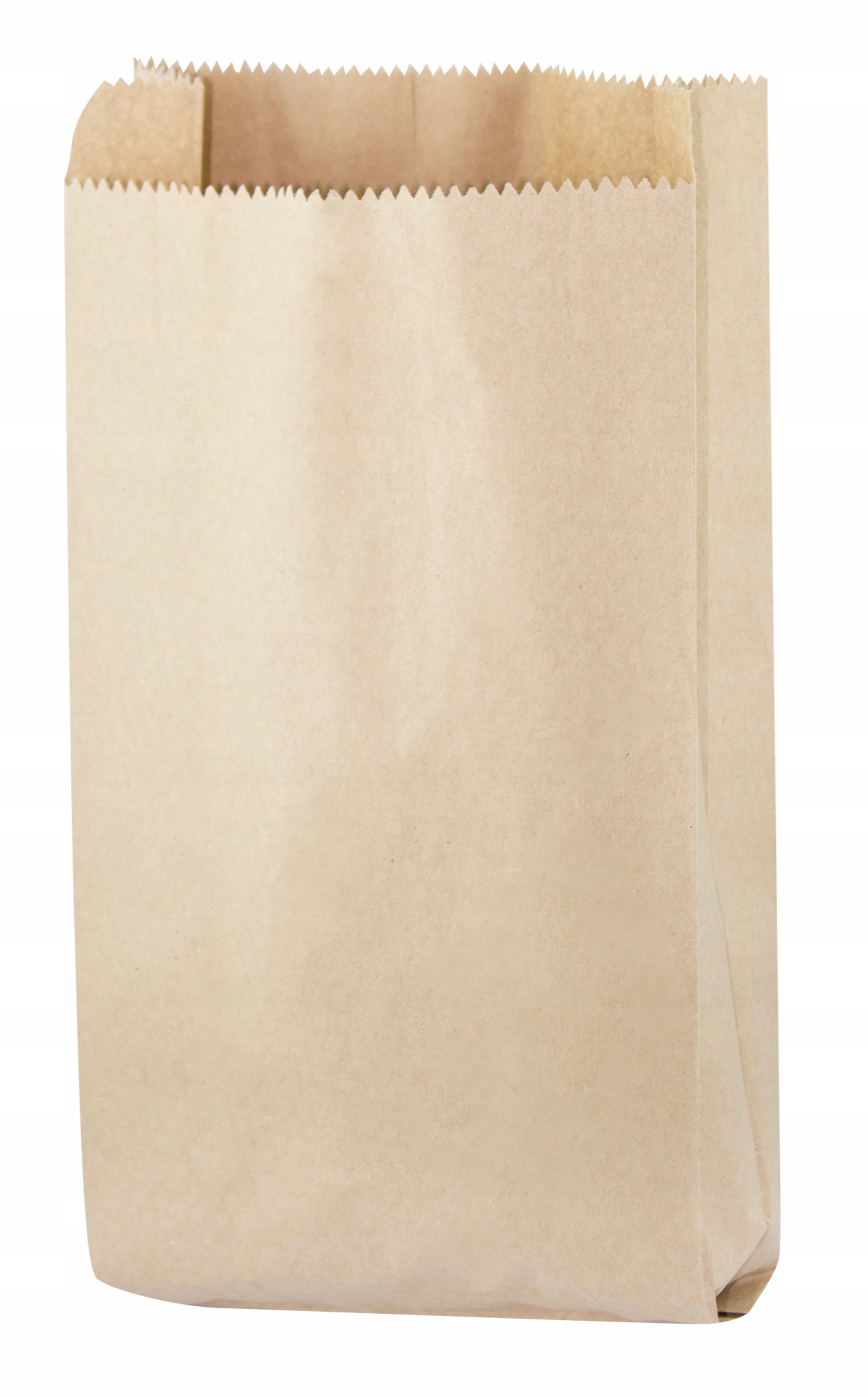 

Torba Spożywcza Duża Fałdowa 18x8x34cm 100szt Eko