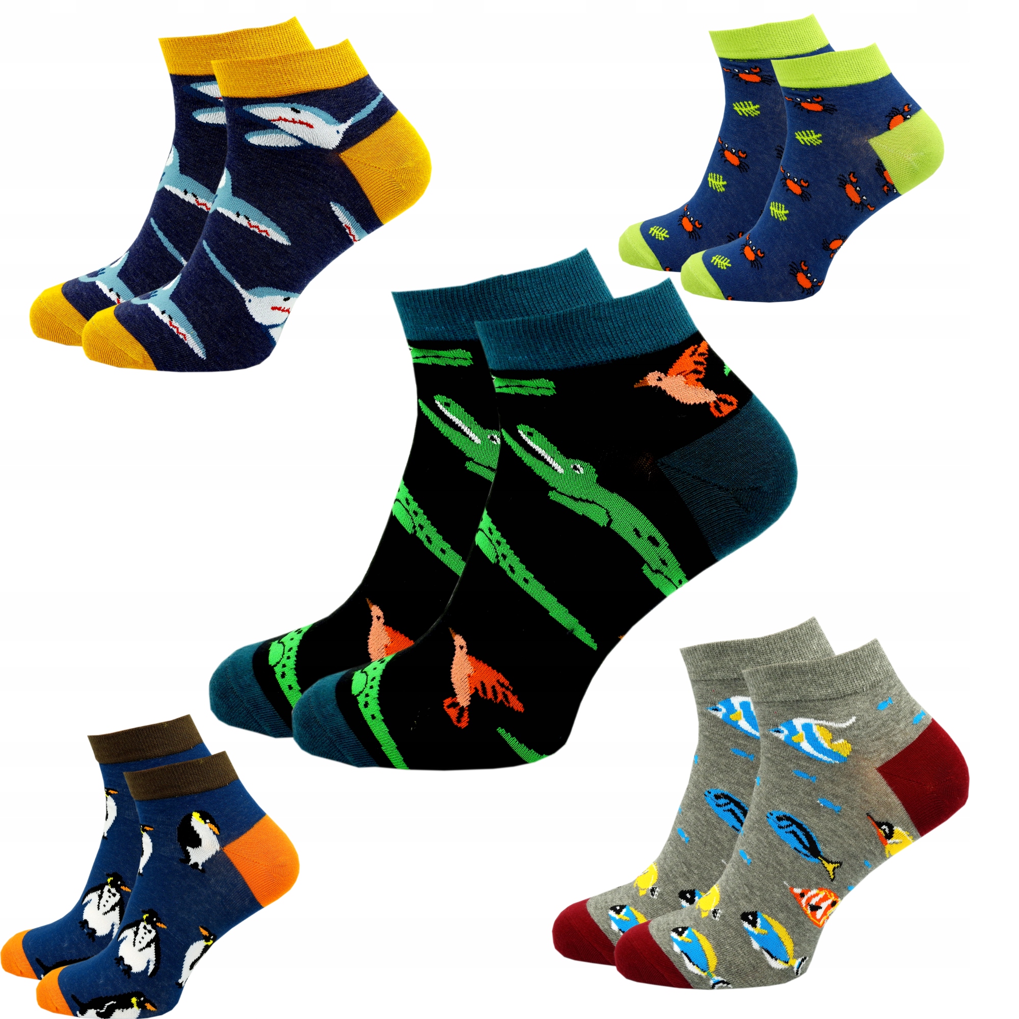 

Kolorowe Stopki Męskie Bawełniane Zestaw 5 Par