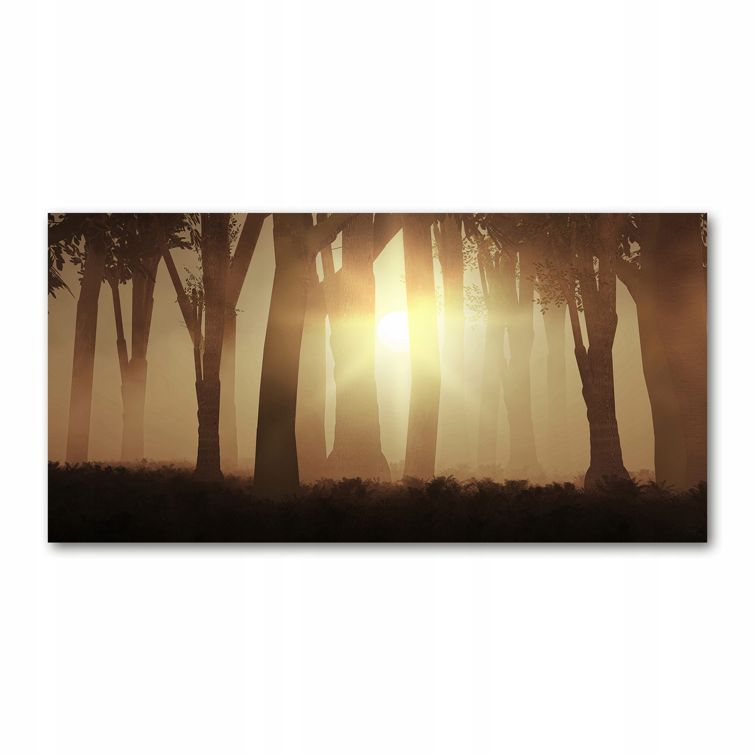

Foto obraz akryl zdjęcie Mgła w lesie 120X60 cm