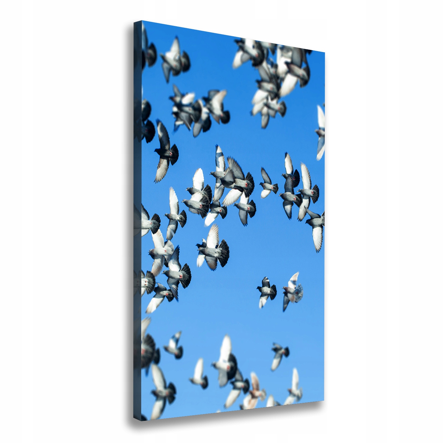 Fotoobraz obraz na plátně Holubice na obloze 60x120 cm