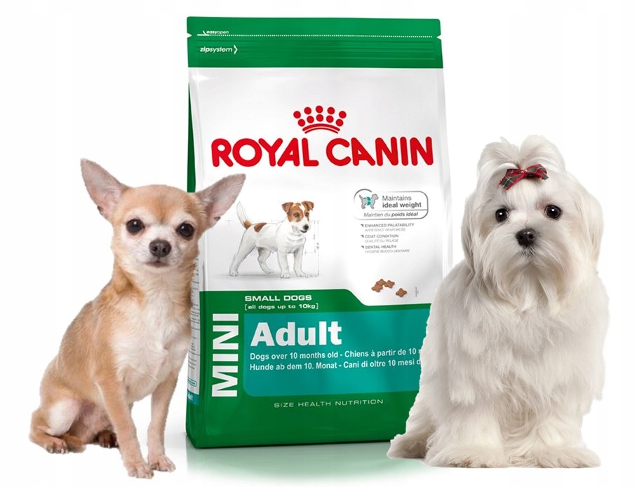 Корм для собак royal canin mini. Корм Роял Канин для чихуахуа. Роял Канин для собак мини Эдалт 8 кг. Корм для собак Роял Канин для чихуахуа. Royal Canin Mini 8 кг.