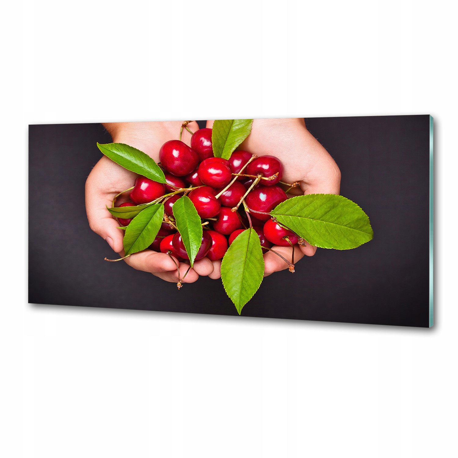 Kuchyňský panel Višně v dlaních 125 x 50 cm Lepidlo