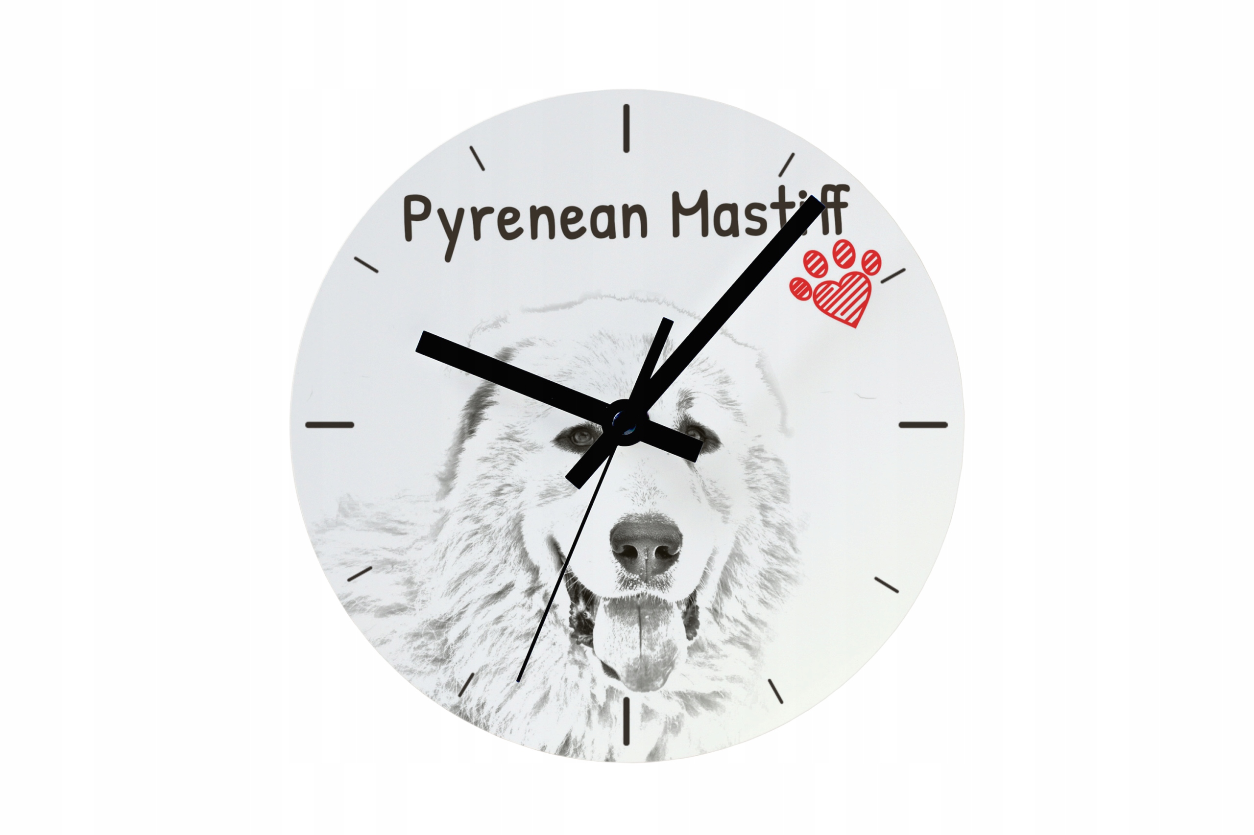 Pyrenejský mastif, závěsné a stojící hodiny se psem, personalizace fotografií