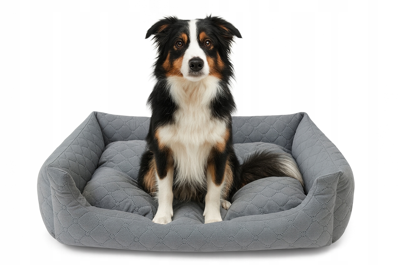 Legowisko Dla Psa Kota Kanapa 70x60 Poduszka Kojec M